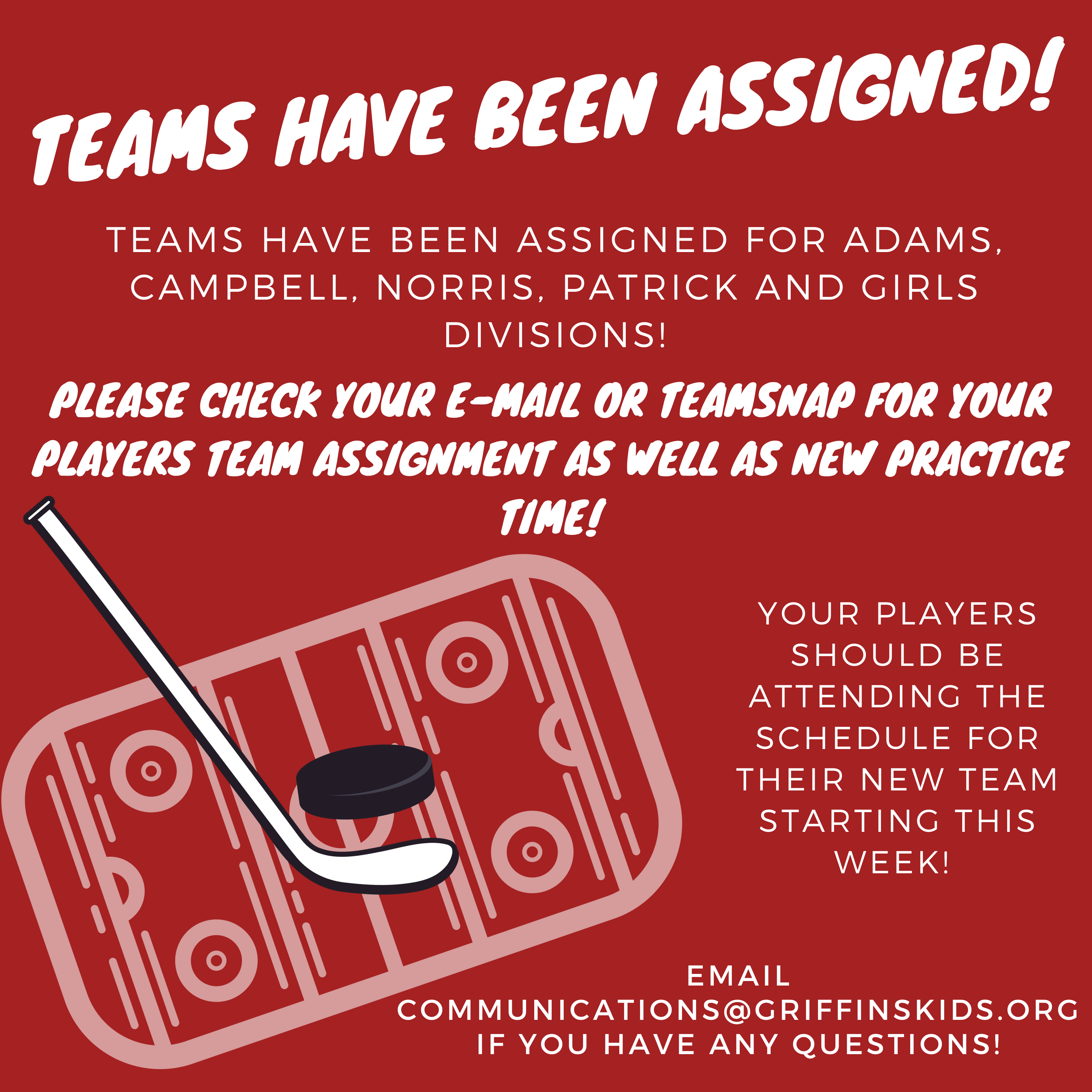 NEWSLETTER! (1)